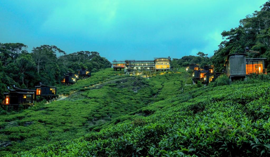 Gallery image of The Rainforest Ecolodge - Sinharaja in Deniyaya