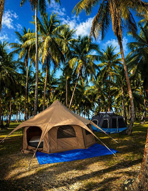 a tent on a field next to palm trees at camping eco demar achu in Cayos Los Grullos
