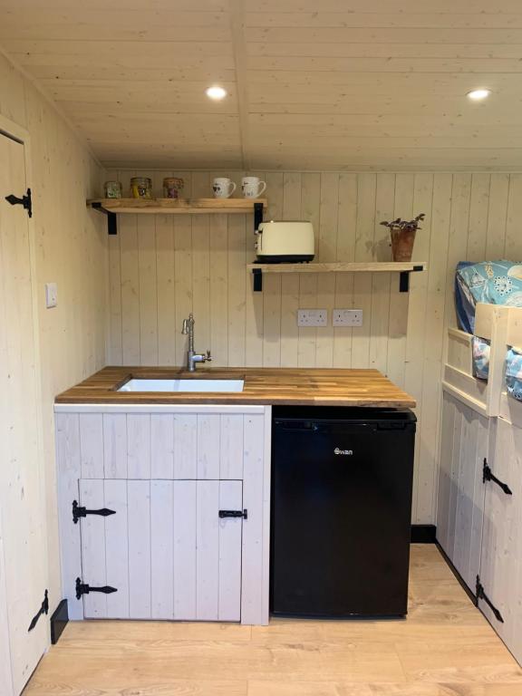 a small kitchen with a sink and a dishwasher at Heated shepherds hut overlooking open countryside in Chichester