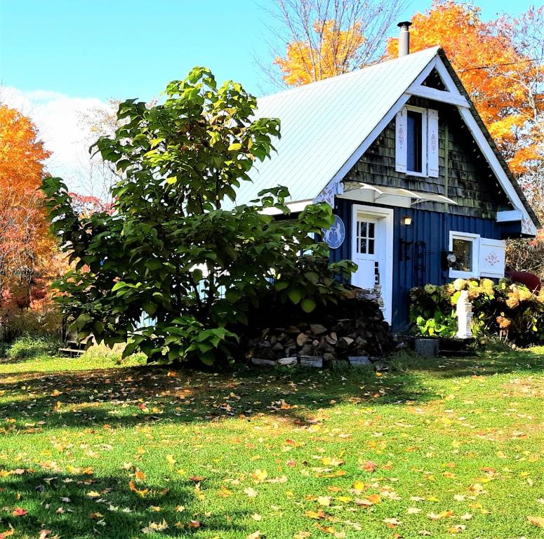 a small blue house with a tree in the yard at Le Temps Perdu in Westport