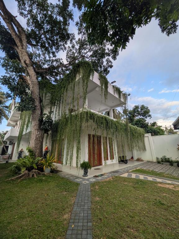 a white building with a tree in the yard at Casa Luna Home Stay in Dickwella