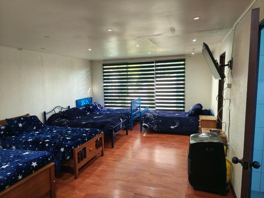 a room with four beds and a large window at Hostal Fernanda in Santa Cruz
