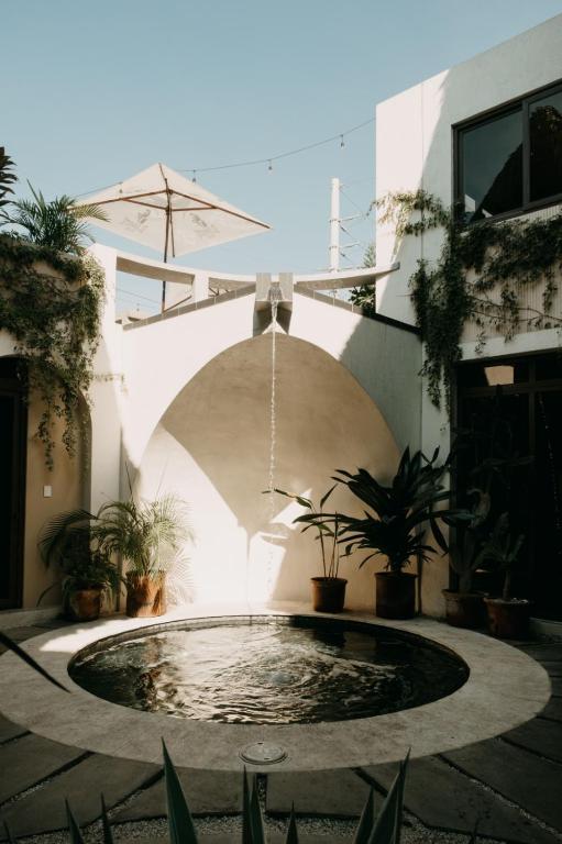 a fountain in a courtyard with potted plants at Caracola Boutique Hostel in El Paredón Buena Vista