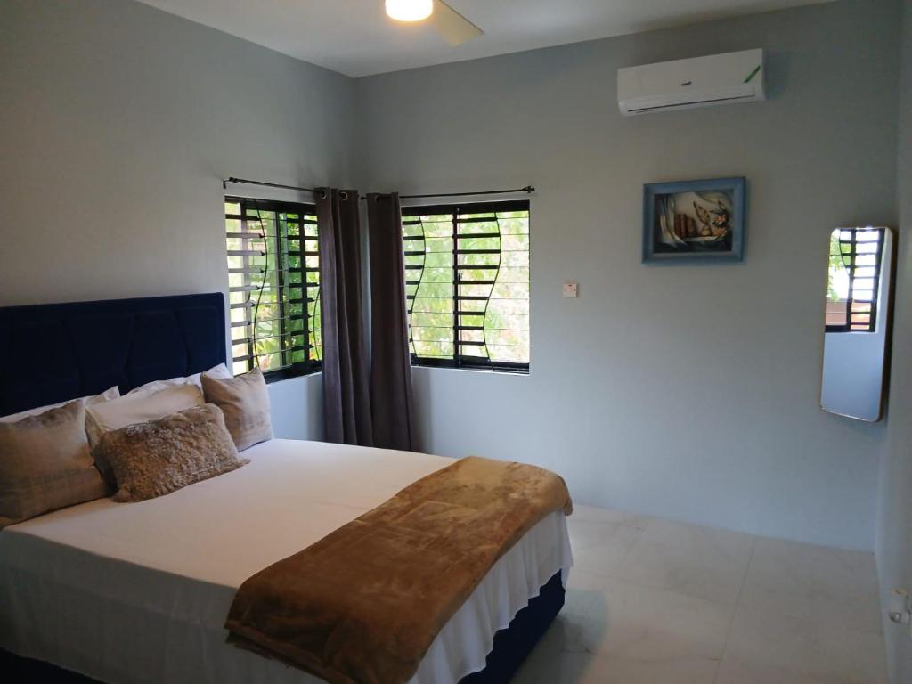a bedroom with a bed and two windows at 31 Runaway Meadows in Belle Air Summit