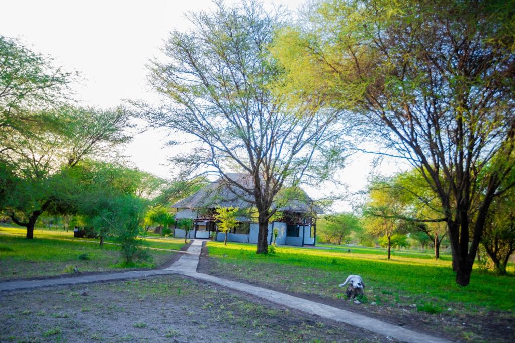 a dog sitting on a dirt road in a park at Tembo Tarangire Lodge & Camp in Madege