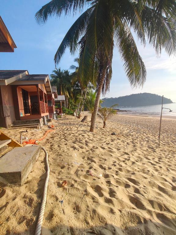 a beach with a house and a palm tree at Permata Beach Chalet in Kampong Juara