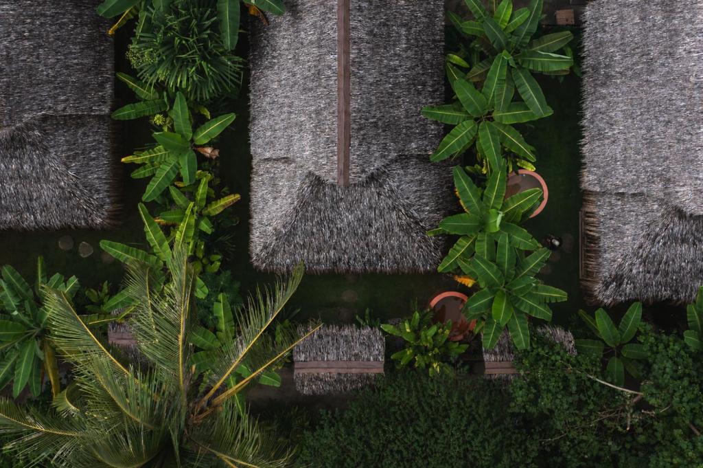 a bunch of plants on a wall with a letter m at Beachside Villa with Private Pool - Kalima Villas in Catangnan