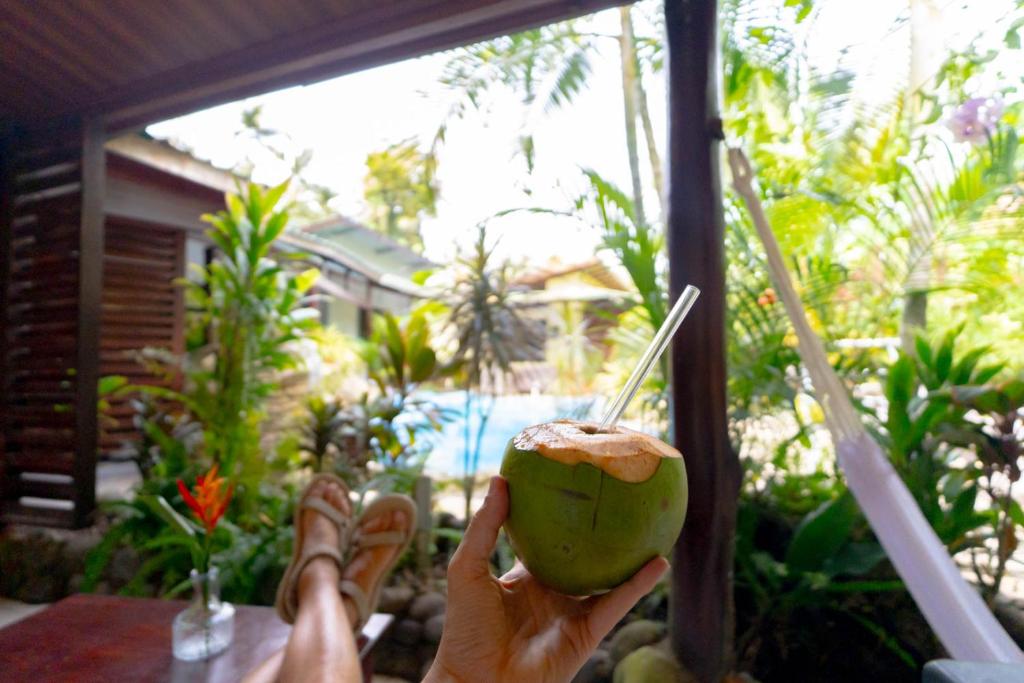 Casa Caribbean Coconut - Hizvo