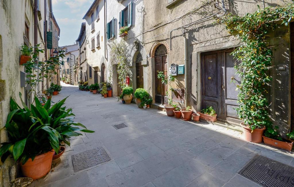 an alley with potted plants on the side of buildings at 2 Bedroom Pet Friendly Apartment In Scansano in Scansano