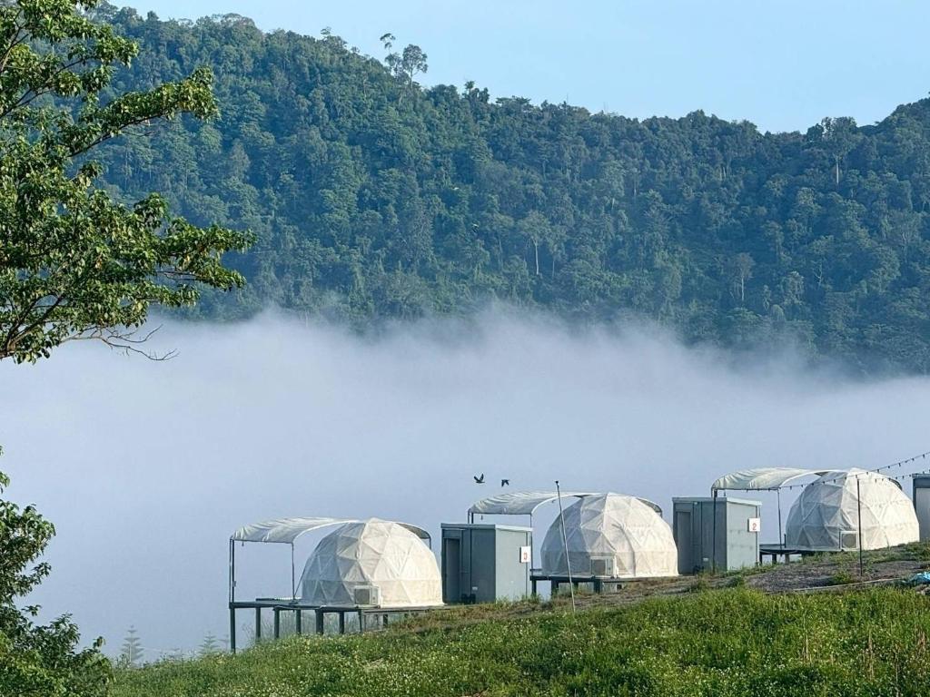 a group of domes on a field in the fog at เขาเจ้าขา-เต็นท์กระโจมเขาค้อ โดมvip in Khao Kho