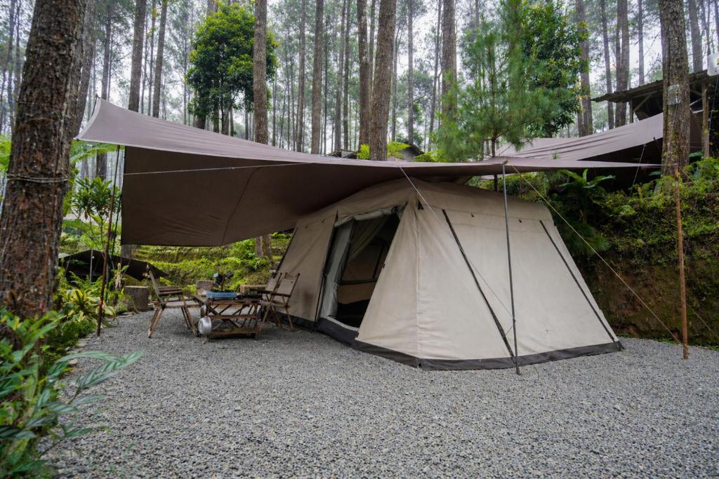 a tent in the middle of a forest at serlok glamping in Tangkubanperahu