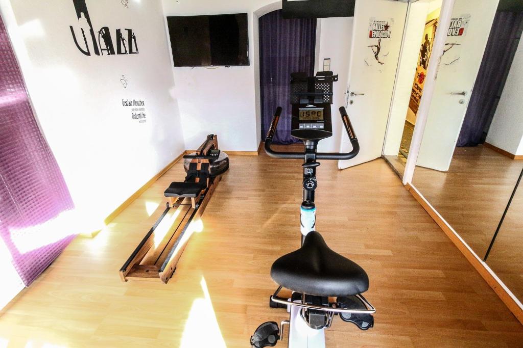 Fitness centrum a/nebo fitness zařízení v ubytování Wolfgangsee Appartment