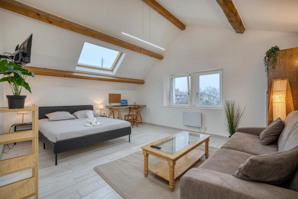 a living room with a couch and a table at COLIVING - bedroom Salon & TV in Saint-Jean-de-Gonville