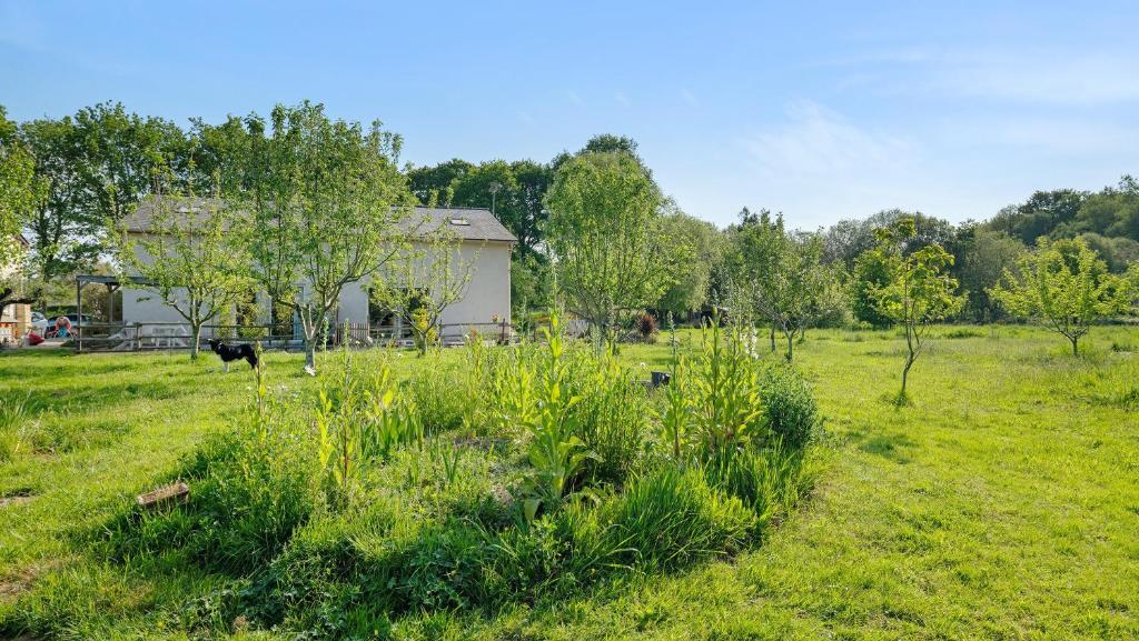a field of grass with a cow in the background at Gites de l'hivet in Merdrignac