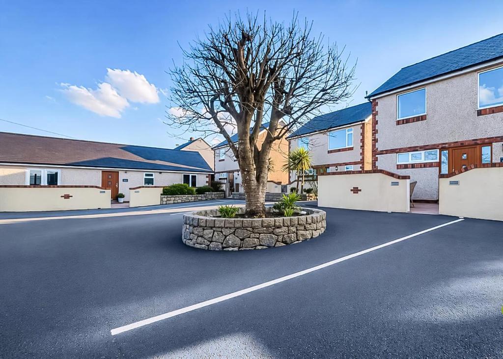 a tree in the middle of a road in front of a house at Bryn Awel Caravan Park in Pentraeth