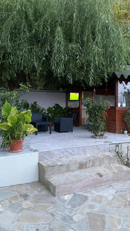 a patio with stairs and plants and a building at Casa NICORAD Camere in Pucioasa