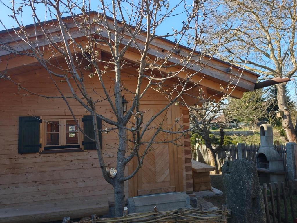 a log cabin with a tree in front of it at Blockhütte bei den Hühnchen in Rötz