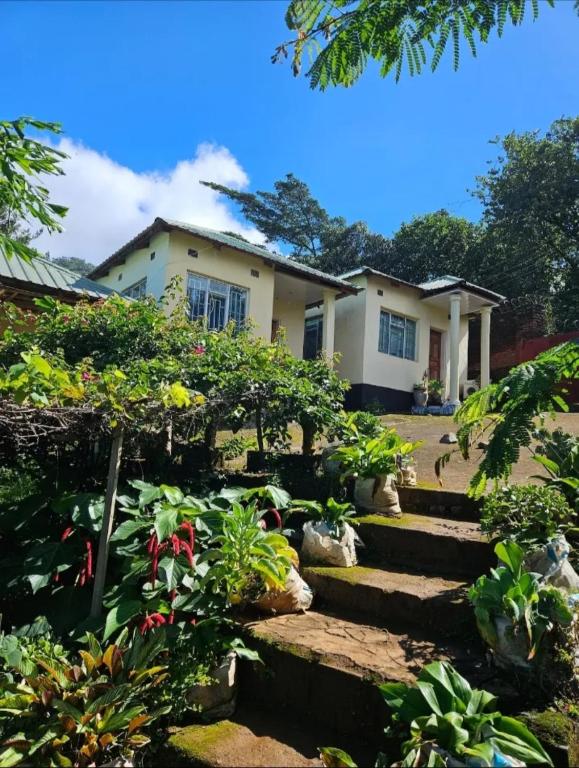 a house with a garden in front of it at Naisi spur in Zomba