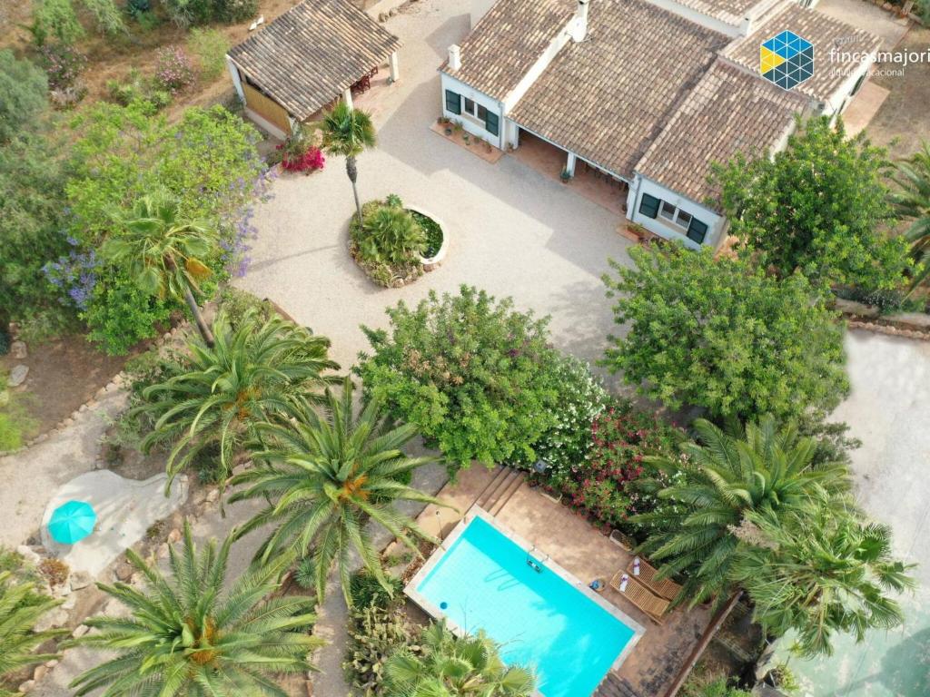 an aerial view of a house with a swimming pool and palm trees at Finca Mica in Llucmajor