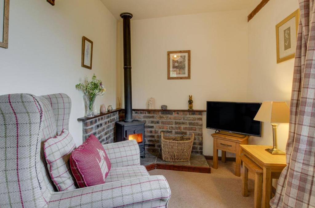 a living room with a couch and a fireplace at 1 Bed in Llanerchymedd oc-wai212 in Llanerchymedd