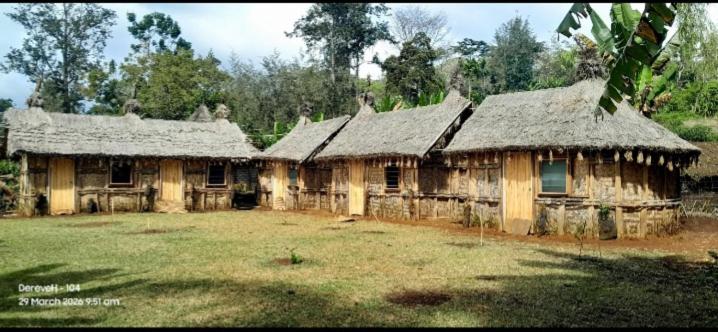 a group of old wooden houses with grass roofs at Asaro Mudman Cultural Lodge in Goroka