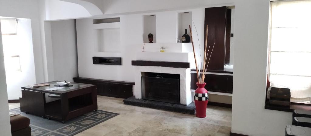 a living room with a fireplace and a red vase at Casa 51 La Plata in La Plata