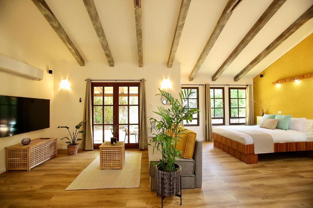a large room with a bed and a tv at בקתות נומה in Moshav Ramot