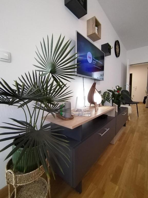 a desk with a computer and a plant in a room at Allegra lux in Sombor