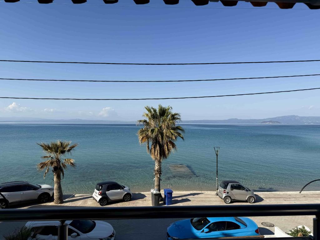 a view of the ocean with parked cars and palm trees at Blue Tree Suites in Pefkochori