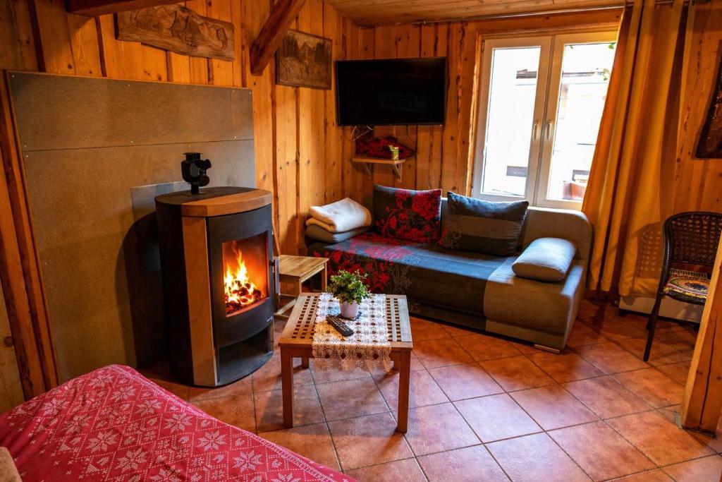 a living room with a couch and a fireplace at Dovolenkový dom Ela pets friendly in Poprad