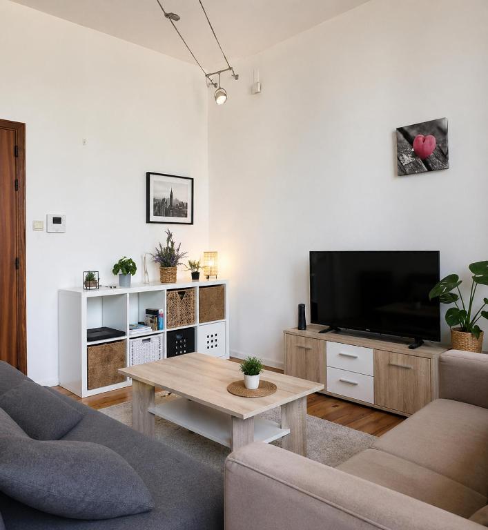a living room with a couch and a tv at Appartement bien-être in Liège