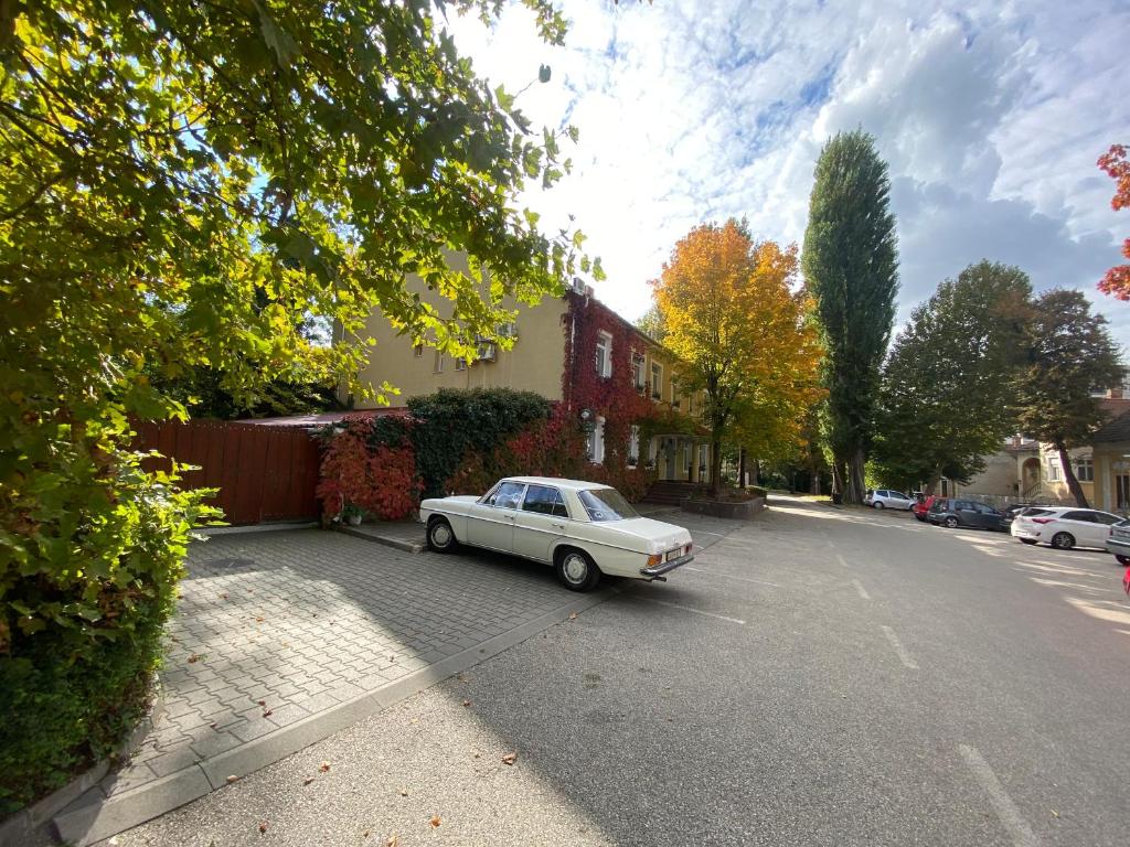 a white car parked on the side of a street at Hotel Arnold in Tata
