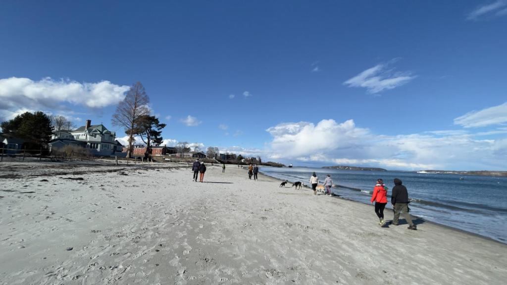 a group of people walking on the beach at Walk to Willard Beach in South Portland