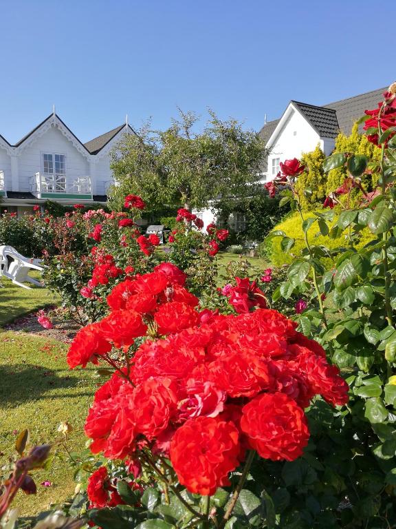 Phoenix Thermal Resort - Taupo - Resim 30