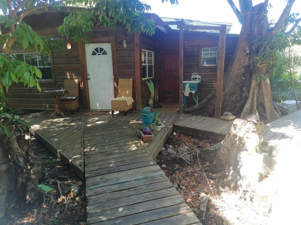 a log cabin with a porch and a door at Cabaña-estudio selvatica in Utila