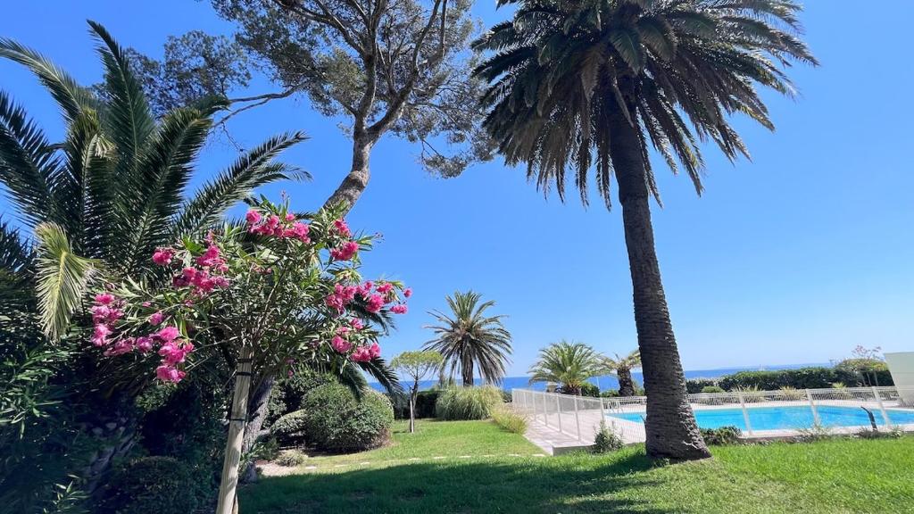 Un coin de paradis au pied de la Grande Bleue