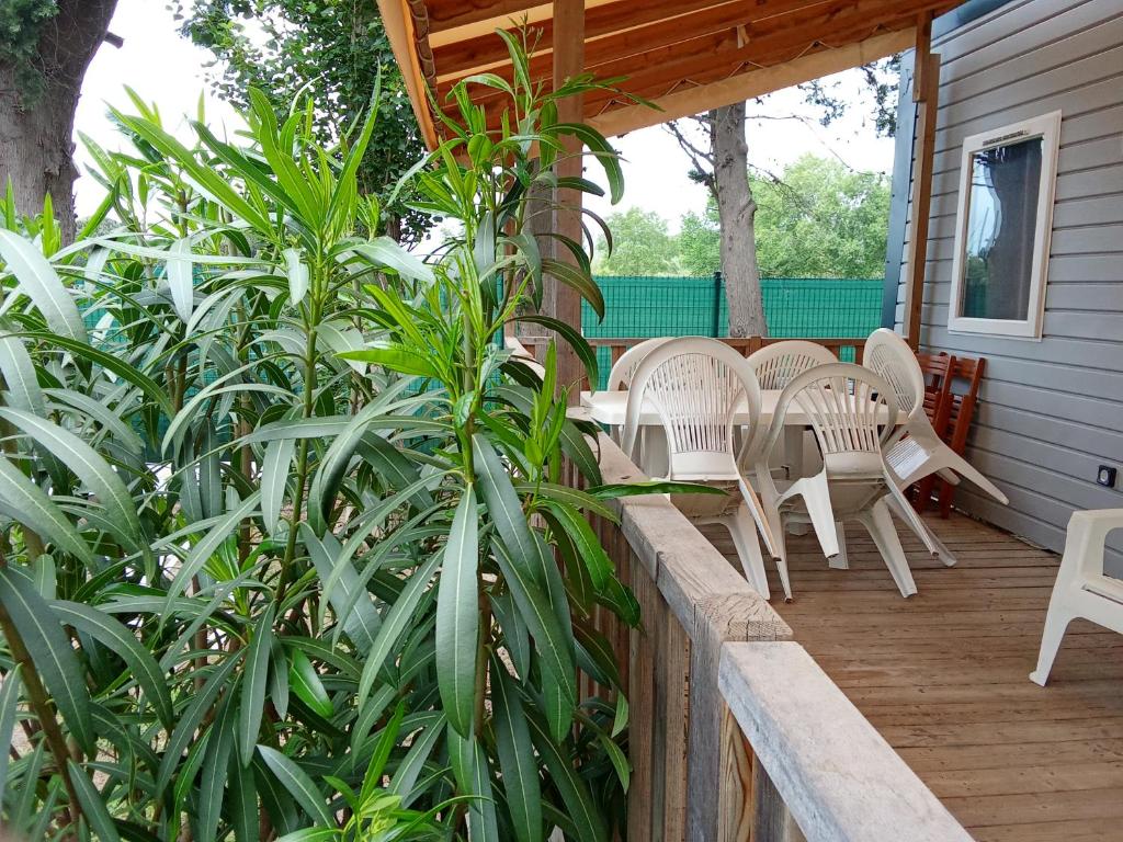 Cosy mobile home 6 p piscine inclus !