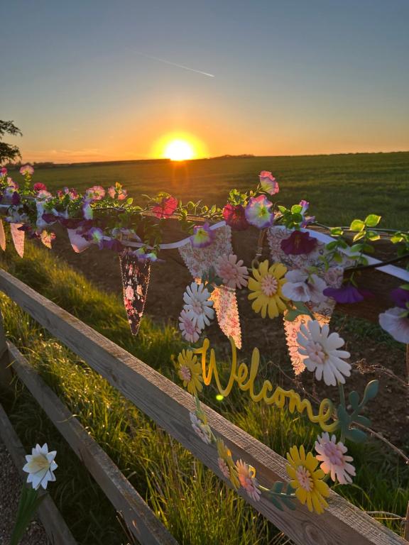 a field of flowers with the sunset in the background at Beautiful Rural Holiday Chalet With Hot tub and Igloo cinema in Lincolnshire