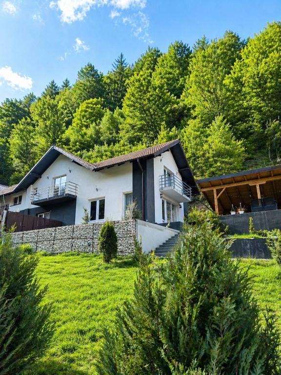 a white house on a hill with trees at Vibe House Madisson in Braşov