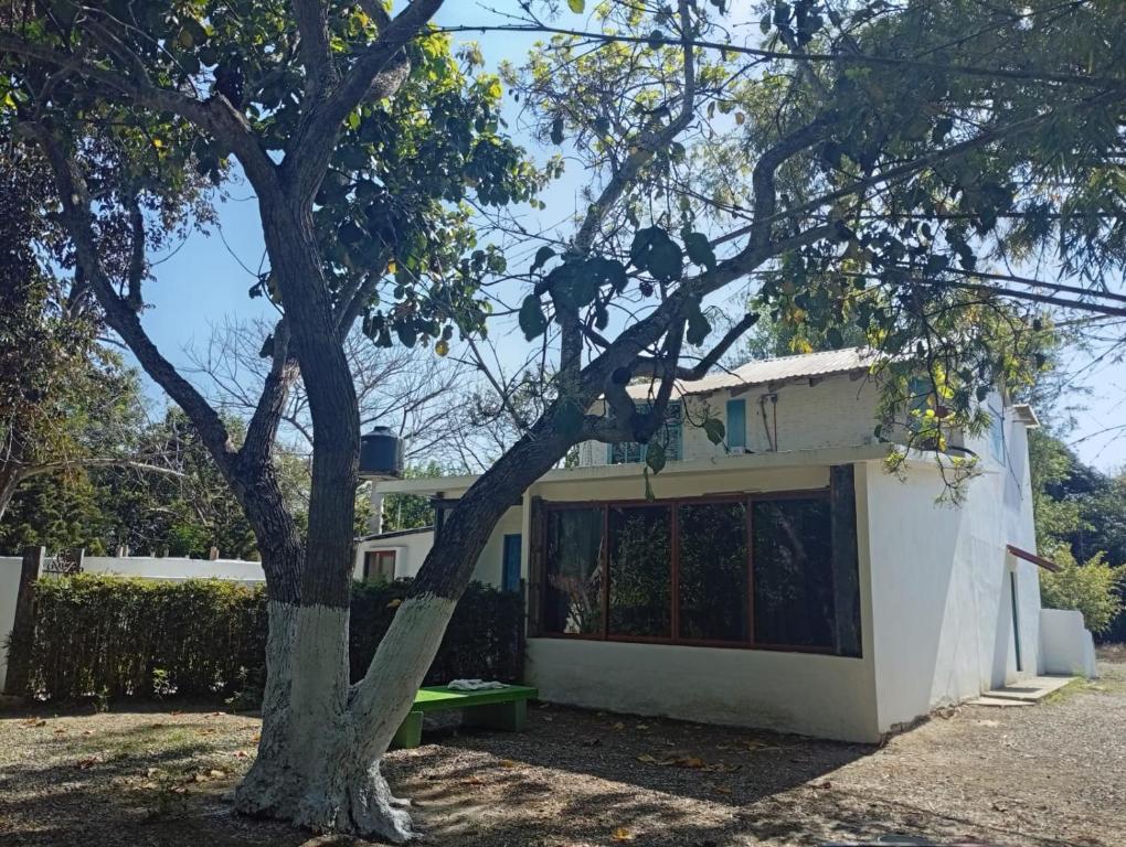 Huerto del Bambu - Apartamento De Un Dormitorio