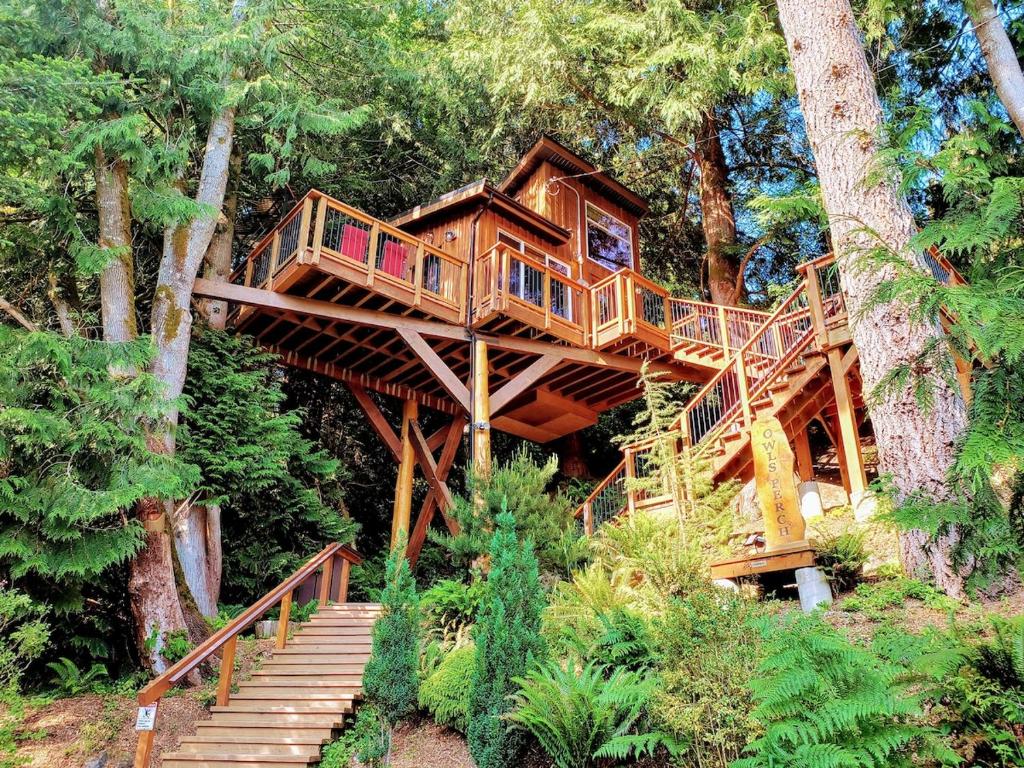 a tree house in the middle of trees at Owl's Perch Treehouse in Sooke