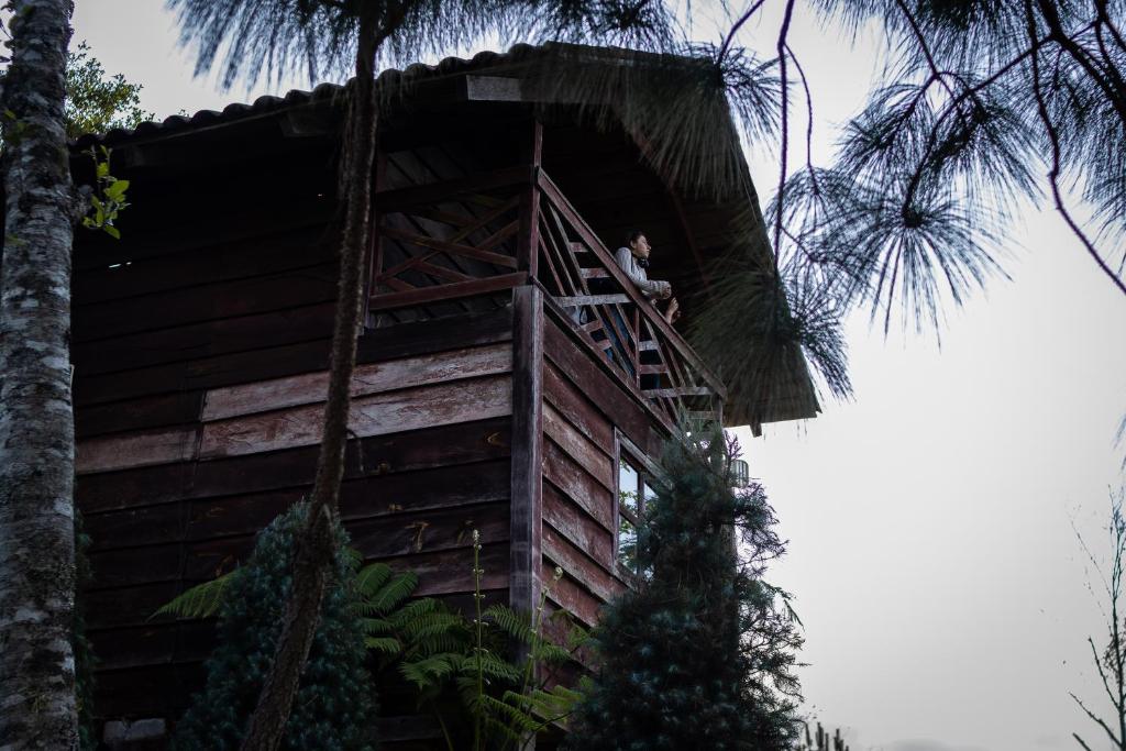 ein Mann auf der Spitze eines Baumhauses in der Unterkunft Bosque de Niebla in Tlatlauquitepec
