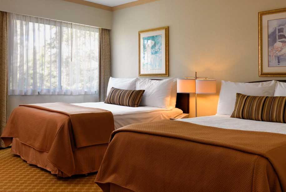 Royal Scot Hotel & Suites, Trademark Collection by Wyndham photo