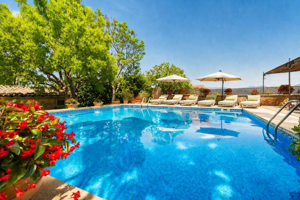 a large blue swimming pool with chairs and umbrellas at Agroturisme Sa Torre, Adults Only Relax Oasis in Santa Eugenia