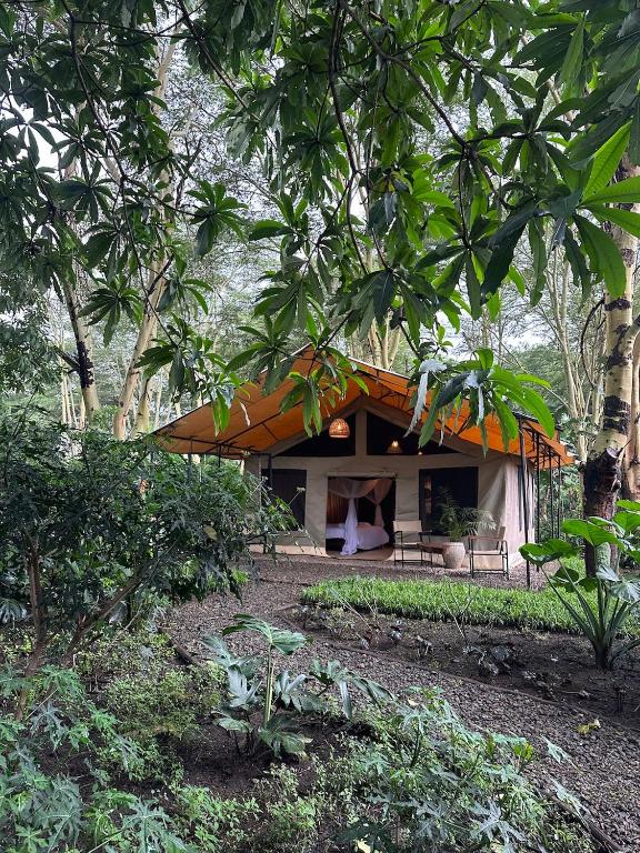 a house with an orange roof in a forest at the Roost Tented Camp in Arusha