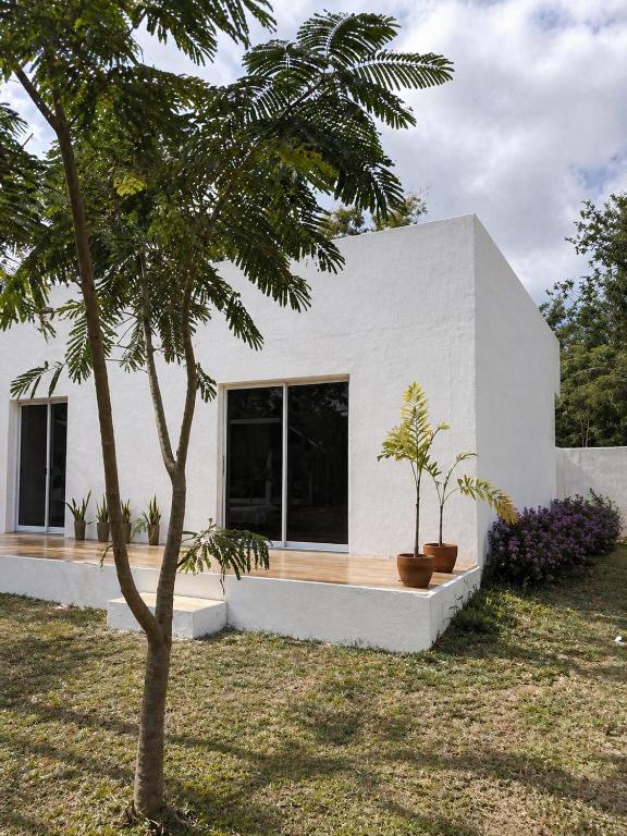 ein weißes Haus mit zwei Bäumen in einem Hof in der Unterkunft MHARI Guest Rooms in San Juan