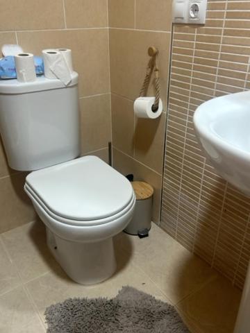 a bathroom with a white toilet and a sink at APARTAMENTO PALOMAREs in Zújar