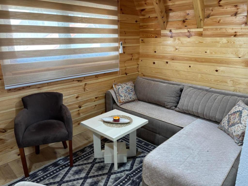 a living room with a couch and a table and a chair at Masha in Žabljak