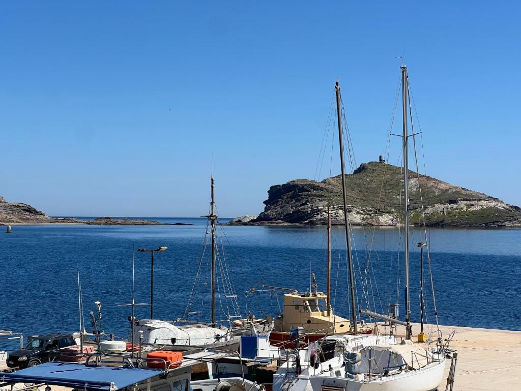 a bunch of boats are docked in the water at Elena Studios in Panormos