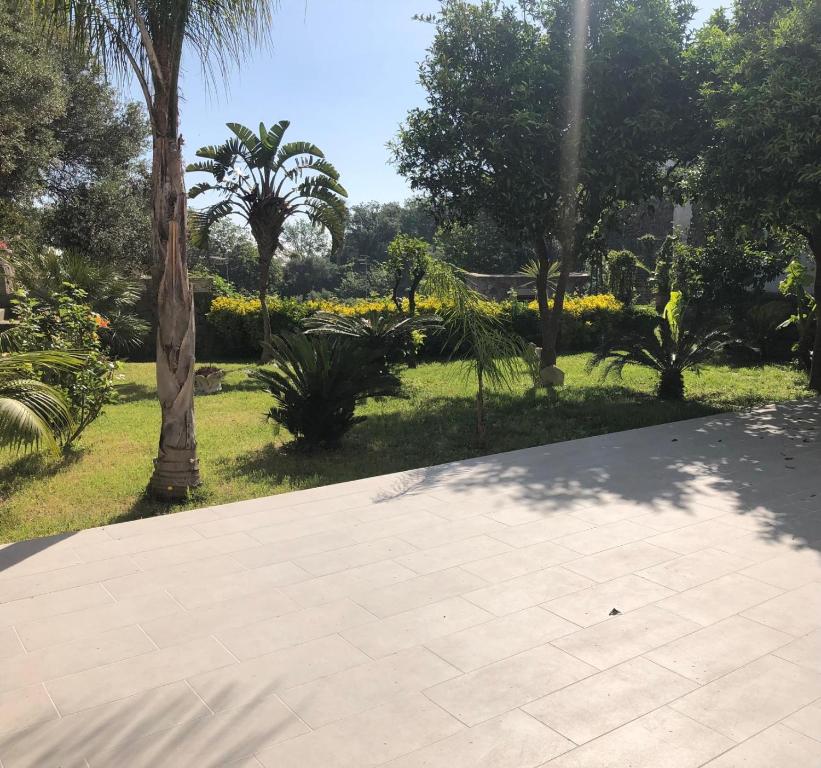a walkway in a park with trees and grass at B&B Carpe Diem Domus in Lacco Ameno